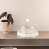 Mirral - Cake Set (9-Pc) - White & Silver