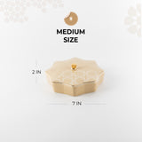 Octara - Medium Decorative Canister - Ivory & Gold