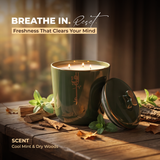 Liqaa - Large Candle|Wood Mint - Olive Gold