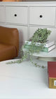 Octara - Large Decorative Canister - Grey & Gold